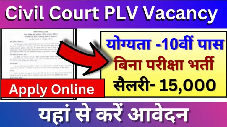 Civil Court PLV Recruitment 2024